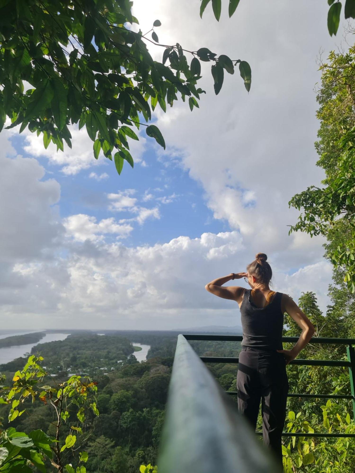 Casa Chilamates 2.0 Tortuguero Dış mekan fotoğraf